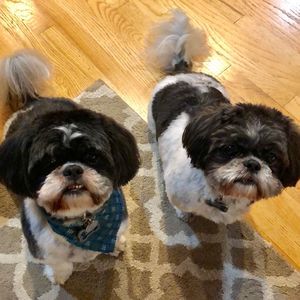 Meet your Posher, Sheila